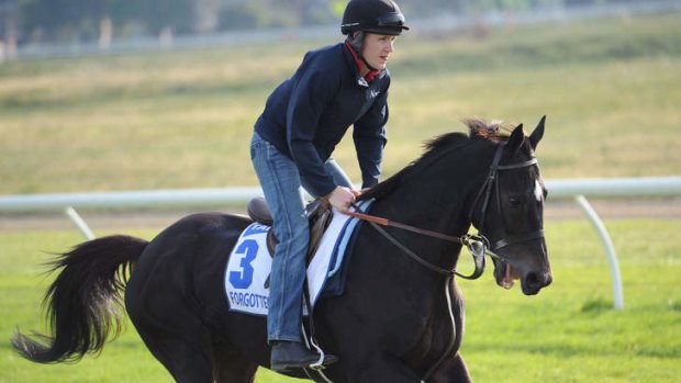 Ryan O’Reilly riding Forgotten Voice in a trackwork session.