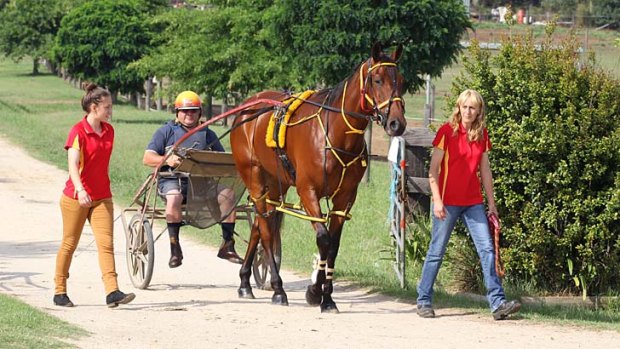 Come a long way ... Come On Frank, being driven by trainer Darren Billinger and flanked by women who believed in his potential, Jodie Billinger and her mother Julie, takes in the scenery at Menangle this week.