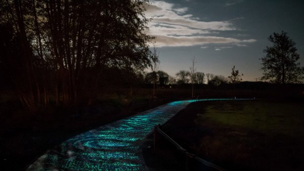 The starry Van Gogh Roosegaarde bicycle path in the Netherlands.