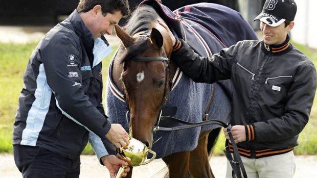 Cup sup: French trainer Mikel Delzangles and strapper Alexis Archard with Dunaden last year.
