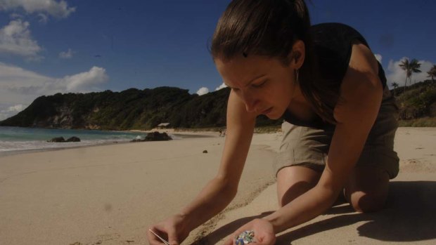 Problem ... Dr Jennifer Lavers collects plastic on Lord Howe Island.