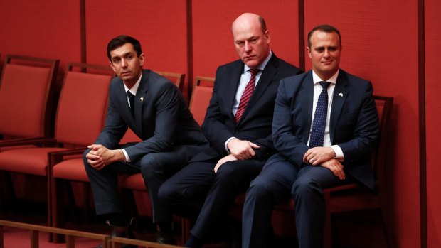 Liberal MPs Trevor Evans, Trent Zimmerman and Tim Wilson listen to Senator Dean Smith speak during debate on the Marriage Amendment bill in the Senate in Canberra.