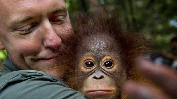 Photographer Matias Klum with a baby orangutan at BOS nursery.