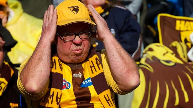 A Hawks supporter grimaces in frustration at the 2012 grand final.