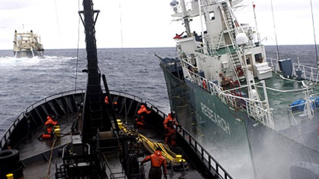 The collision involving the Sea Shepherd boat Bob Barker in the Antarctic.