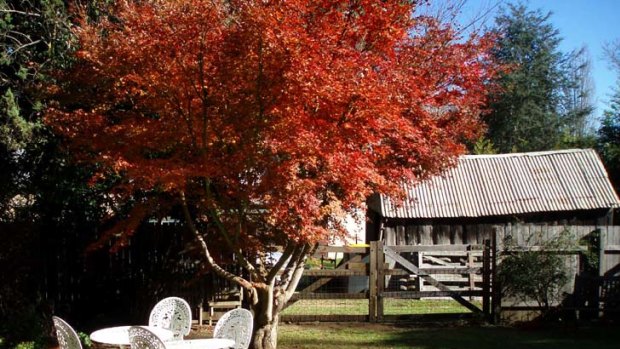 Storybook ending ... the large garden at Jellore Cottage.