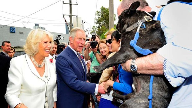 Hounded by monarchists &#8230; the royal couple surrounded by a scant crowd in Southbank, are pursued by Neville Condron and his French bulldog, Bert.