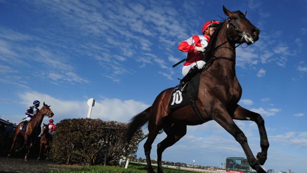 A cool but fine day expected at the Caulfield Cup on Saturday. 