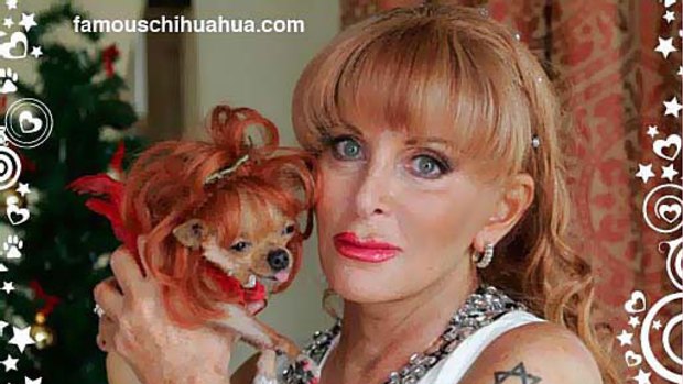 Gail Posner with Conchita the chihuahua.