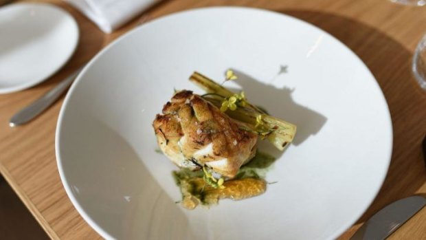 Fish of the day, Hay-baked Hapuku with braised leek and spiced oil, at Artusi restaurant.