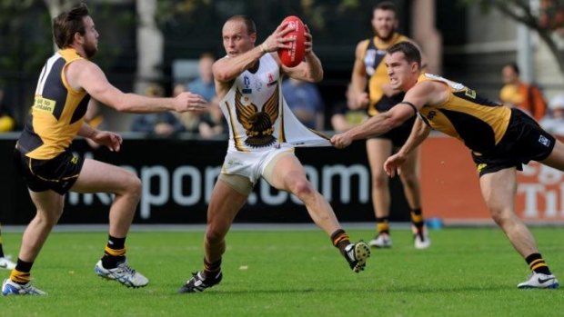 Prey: Hawk Brad Sewell is grabbed by Jake Batchelor in Box Hill’s win over Richmond. 