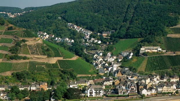 Wine region: Cruising the Rhine takes in the sights of Assmannshausen on its banks, renowned for its red wine. 