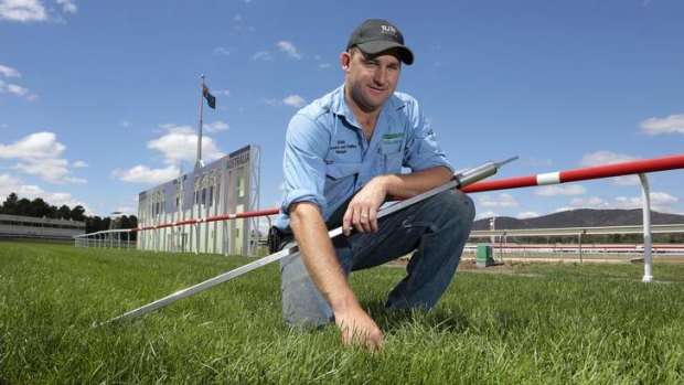 Thoroughbred Park racecourse and facilities manager Adam Ayre inspecting the condition of the track ahead of the Black Opal Stakes.
