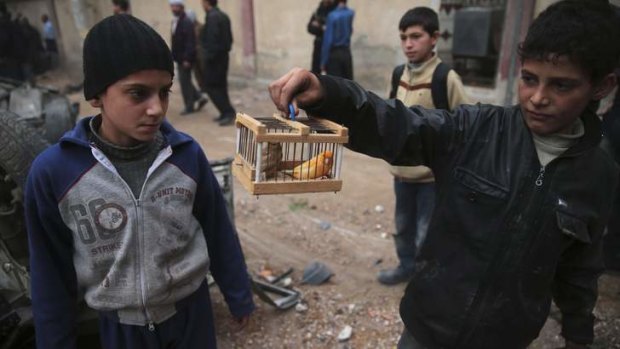 Reprieve: A boy shows off pet birds that he said had survived an air strike by government forces near a children's playground in the Duma neighbourhood of Damascus.