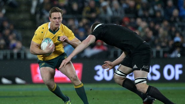 Learning the ropes: Winger Dane Haylett-Pettysays he is  'just happy to play wherever I can'.