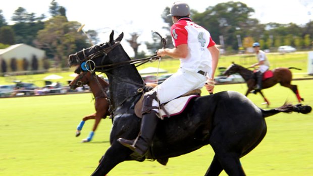 The matches will bring international polo players to Western Australia
