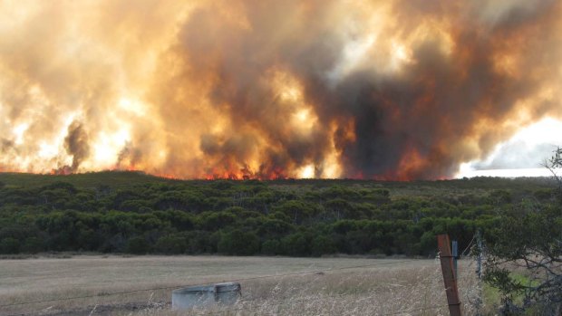 The fire swept through 300,000 hectares. 