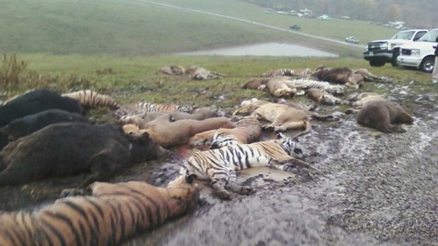 Carcasses  at the Muskingum County Animal Farm  in Zanesville, Ohio.
