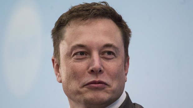 Tesla chief Elon Musk just gained a massive and well-connected confidant.