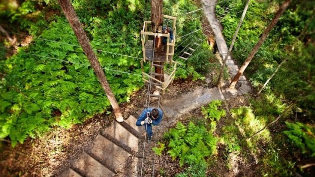 Cedar Creek Lodges at Mt Tamborine.