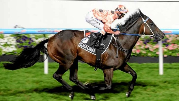 The name of Black Caviar, pictured in the 2013 William Reid Stakes, is trademarked.