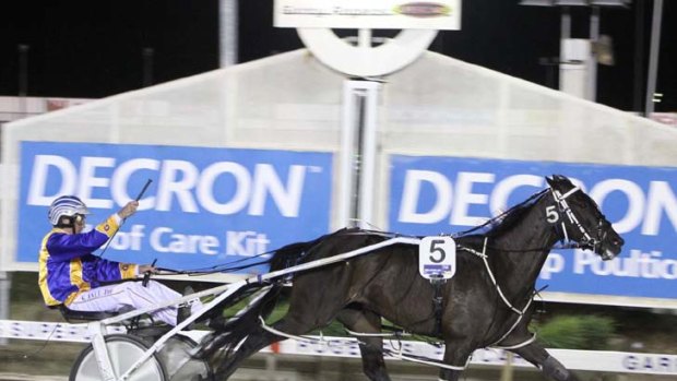 On a roll &#8230; reigning champion Im Themightyquinn, seen here winning the 2010 Cranbourne Pacing Cup, is the favourite to win the upcoming Interdominion.
