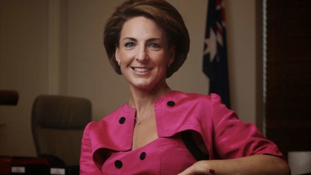 Senator Michaelia Cash, minister assisting the Prime Minister for Women, says she doesn't identify as a feminist.