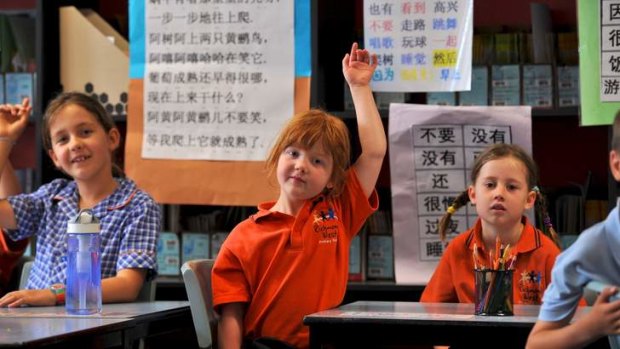 Bilingual students at Richmond West Primary School spend about half their week learning in Chinese.