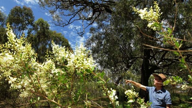''There are all of these threats all the time'' &#8230; Brett Summerell, from the Australian Botanic Garden, believes PlantBank is a vitally important new project.