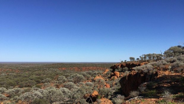 Psychiatrist Gosia Wojnarowska said given West had lived a mostly traditional Aboriginal lifestyle, living in the Goldfields region would be a more suitable location than Perth.