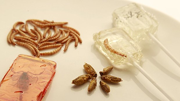 Moving feast ... Edible's offerings include tequila worm lollipops and Thai curry crickets.