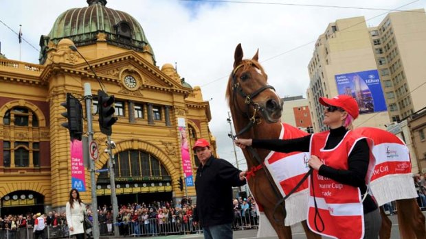 From the heavens ... the 1996 winner Saintly in the Melbourne Cup parade on Swanston Street yesterday.