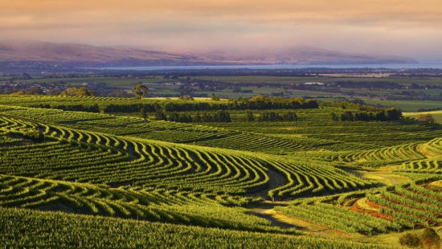 McLaren Vale, taken from Samuels Gorge near the Onkaparinga National Park  looking across the Gulf St Vincent.