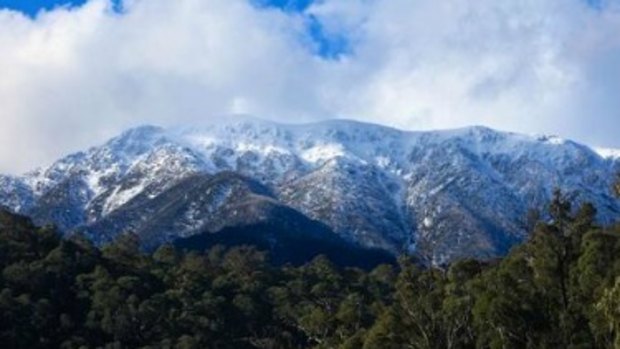 Mt Bogong is so cold that weather instruments have frozen over.