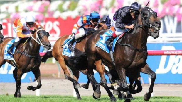 Damien Oliver rides Fiorente to its last race win at the Australian Cup in Flemington last month.