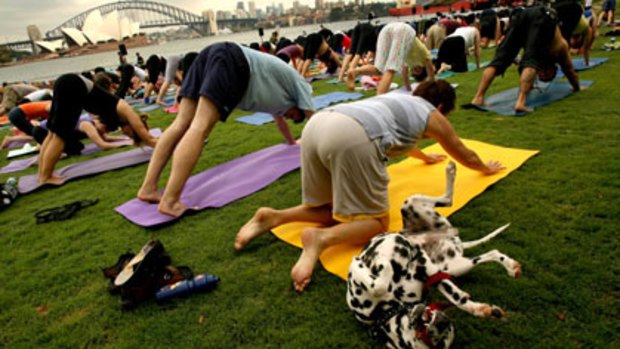 Bottoms up ...  even the dogs joined in yesterday when hundreds of yoga enthusiasts gathered  for a stretch at Mrs Macquaries Chair, where they practised their art and raised money for  charity.