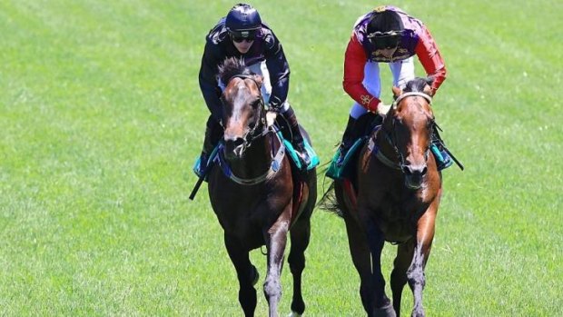 Carlton House (right), seen here in an exhibition gallop with Fiorente, has been made favourite for the $4 million highlight of The Championships.