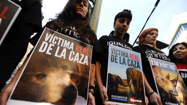 Animal activists stage a protest holding placards displaying pictures of animals and reading "Ban Hunting" in Madrid.