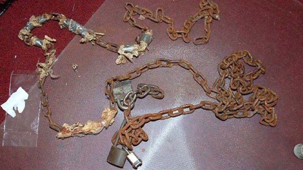 Gruesome scene: chains and locks are pictured in Ariel Castro's house.