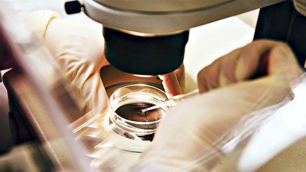 New research into IVF: Statistics show Australia now has some of the lowest rates of multiple transplants and births in the world.