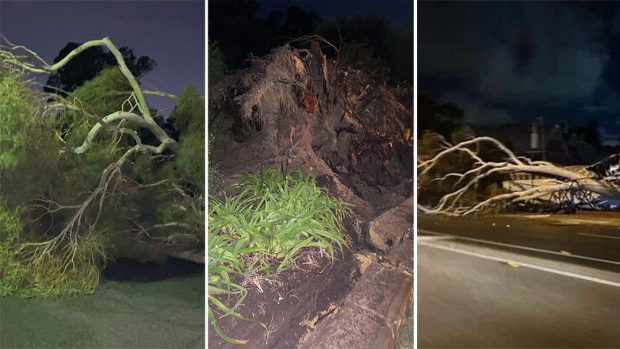 Power outages in Western Australia after night of wild weather