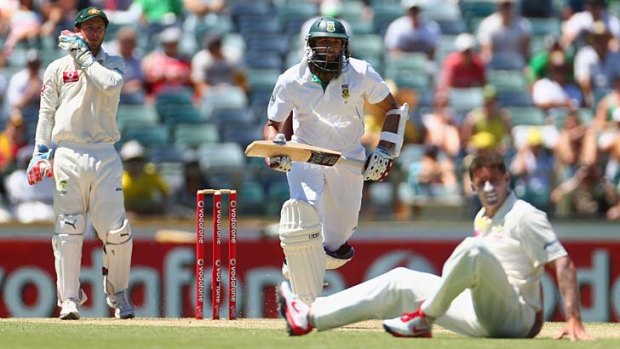 Day out: Hashim Amla piles on more runs.