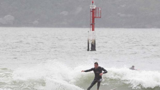 Seize the wave ... surfers hit Nielsen Park in Sydney Harbour.