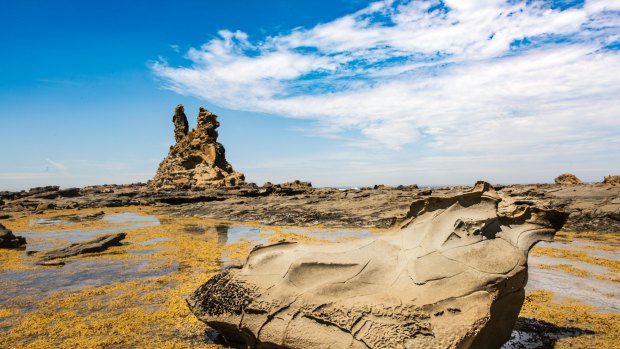 The Bunurong Coastal Drive offers scenic views of rugged sandstone cliffs, rocky headlands and sandy coves.