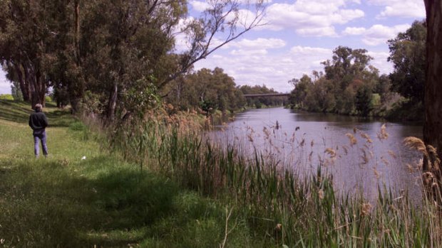 Party split ... plans to pump water from Macquarie River has triggered an outcry.
