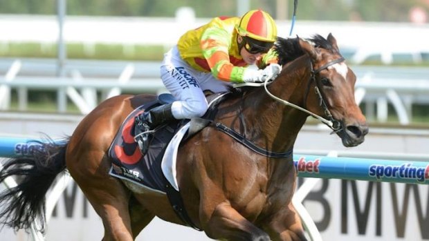 Fancy: Lankan Rupee is one of many top-notch starters in the TJ Smith Stakes.