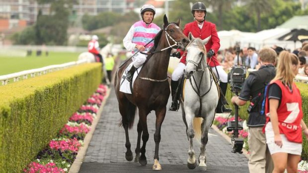 Star mare Two Blue with jockey Damien Oliver at Royal Randwick.