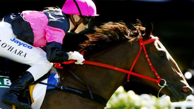 Easy does it ... Kathy O'Hara pilots Chance Bye to victory in the Silver Slipper at Rosehill yesterday. ''She had her ears pricked, she could have gone quicker,'' the rider said. ''She was coasting out there.''
