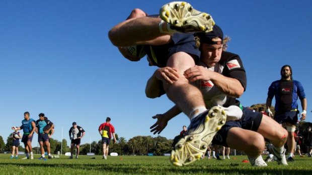 Big task: Waratahs players put in the hard work ahead of the Super Rugby final.