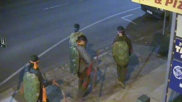 Rosewood's Teenage Mutant Ninja Turtles caught on CCTV.
